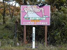 ORj
