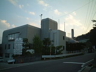 ⑺