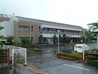 啽